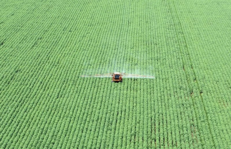 Mercado de defensivos biológicos deve avançar 33% no Brasil em 2021, diz CropLife Mercado de defensivos biológicos deve avançar 33% no Brasil em 2021, diz CropLife