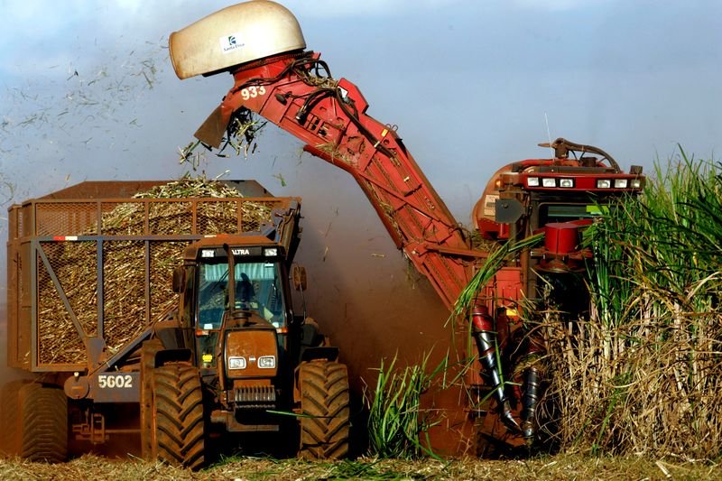 StoneX prevê queda de até 6,3% para moagem de cana no centro-sul em 2021/22 StoneX prevê queda de até 6,3% para moagem de cana no centro-sul em 2021/22