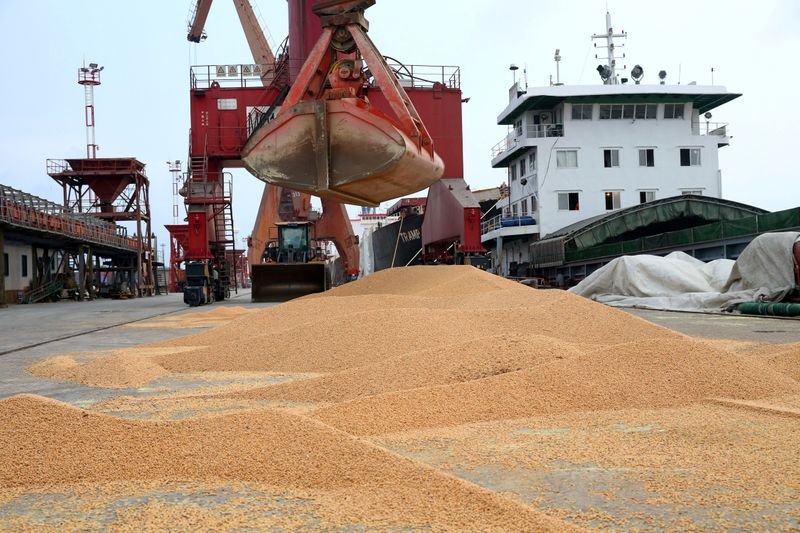Mercado de grãos da China luta para obter dados após “sumiço” de fonte importante Mercado de grãos da China luta para obter dados após “sumiço” de fonte importante