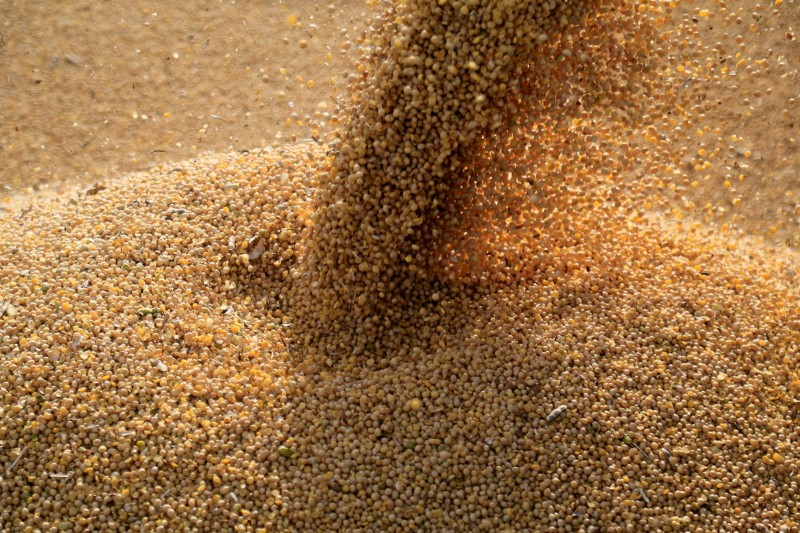 Soja recua com vendas técnicas e clima dos EUA; trigo e milho fecham em alta