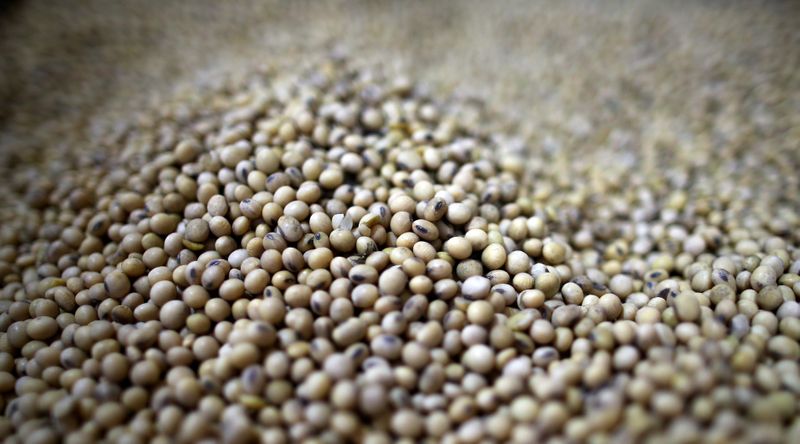 El gobierno dice que las ventas de soja de Argentina en 2020/21 alcanzarán los 29,4 millones de toneladas