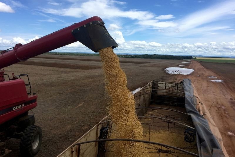 China compra até 6 cargas de soja do Brasil para outubro/novembro, dizem traders China compra até 6 cargas de soja do Brasil para outubro/novembro, dizem traders