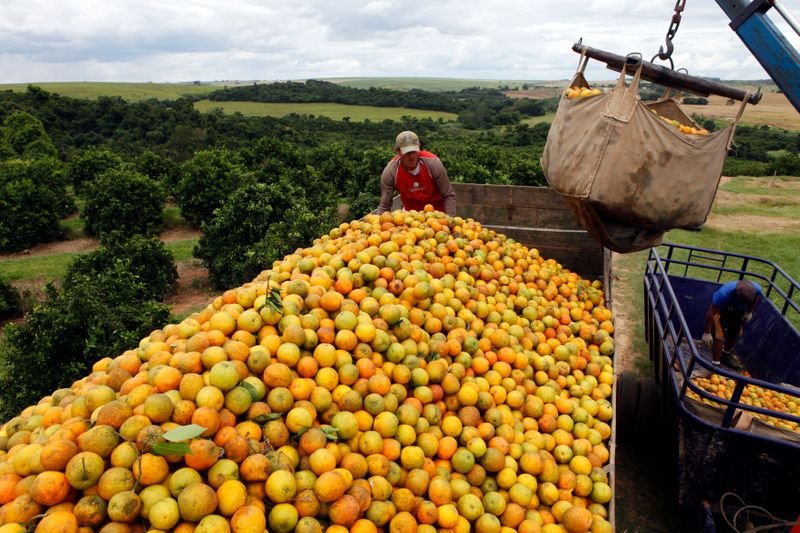 Estoque de suco de laranja pode cair até 46% em 21/22 após intempéries, diz CitrusBR Estoque de suco de laranja pode cair até 46% em 21/22 após intempéries, diz CitrusBR