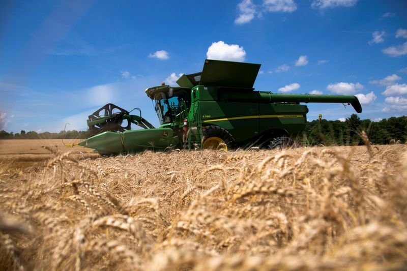 Trigo se firma em Chicago ante preocupação com oferta global; milho e soja avançam Trigo se firma em Chicago ante preocupação com oferta global; milho e soja avançam