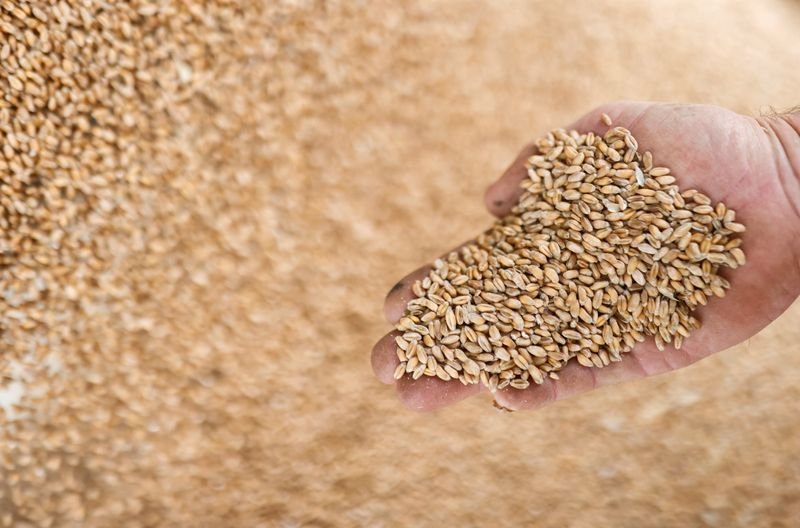 Bunge eleva perspectiva de lucro com demanda por alimentos e biocombustíveis Bunge eleva perspectiva de lucro com demanda por alimentos e biocombustíveis