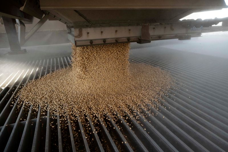 Importações de soja pela UE totalizam 4,79 mi t em 21/22 até 21 de novembro