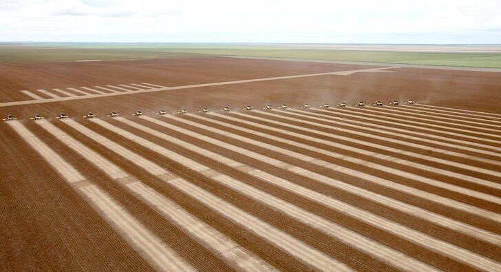 Safra de soja 2021/22 do Brasil deve atingir 145,64 mi t, diz Pátria AgroNegócios Safra de soja 2021/22 do Brasil deve atingir 145,64 mi t, diz Pátria AgroNegócios