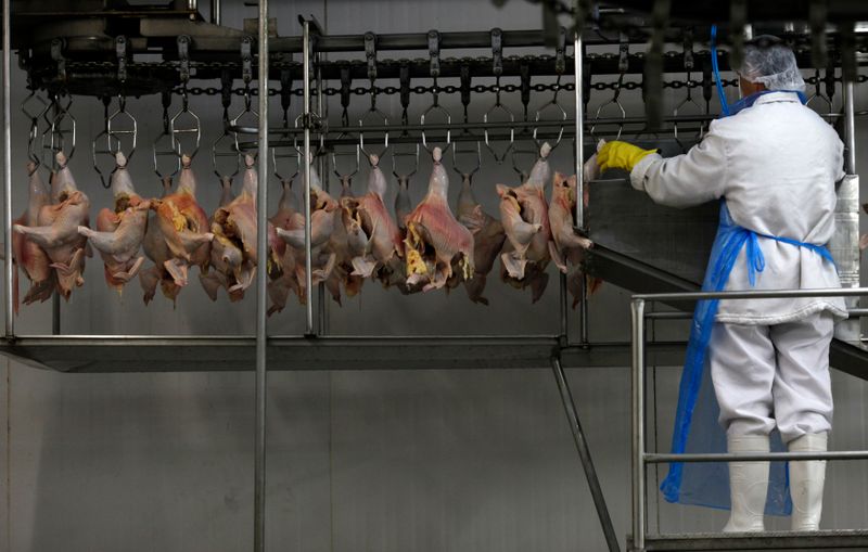 Exportação de frango do Brasil atinge quase US$7 bi no ano e deve ter recorde