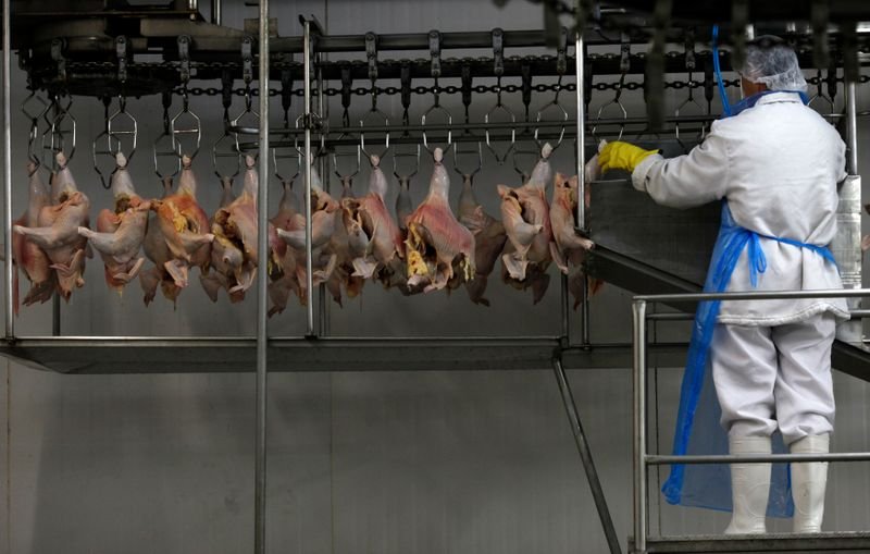 Exportação de frango do Brasil atinge quase US$7 bi no ano e deve ter recorde Exportação de frango do Brasil atinge quase US$7 bi no ano e deve ter recorde