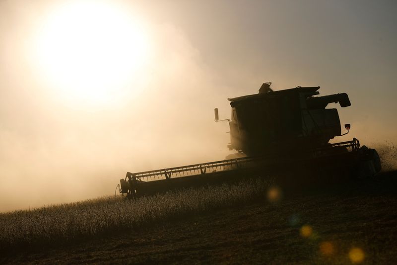 Clima reduz produtividade do milho, e gaúchos migram para soja, diz StoneX