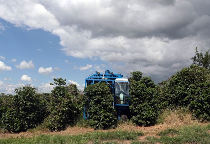 Estoques finais de café do Brasil devem despencar 57% em 2021/22, diz Safras Estoques finais de café do Brasil devem despencar 57% em 2021/22, diz Safras
