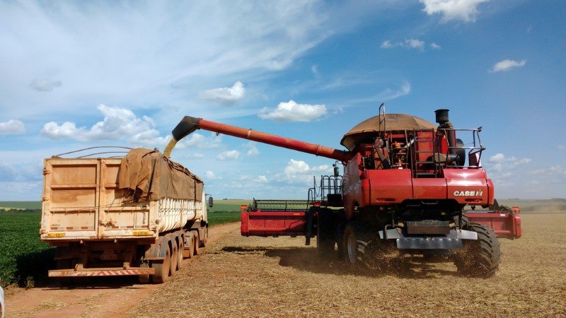 Vendas de soja 2021/22 de MT superam 30% da safra, diz Imea; produtor aguarda preço maior Vendas de soja 2021/22 de MT superam 30% da safra, diz Imea; produtor aguarda preço maior
