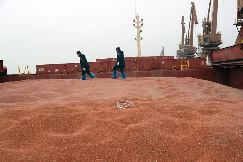 Agricultores das Planícies dos EUA apostam no sorgo com aumento da demanda chinesa Agricultores das Planícies dos EUA apostam no sorgo com aumento da demanda chinesa
