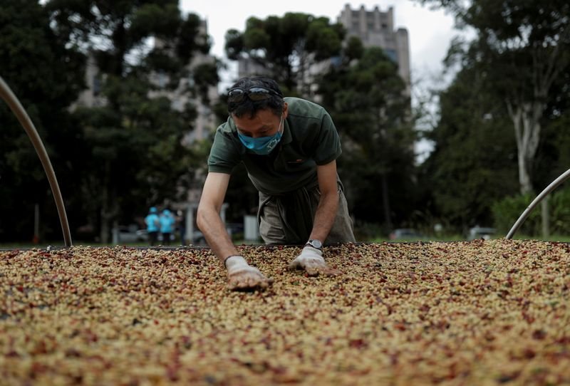 Rabobank revisa para cima safras de café do Brasil; vê margens ‘boas’ para cana Rabobank revisa para cima safras de café do Brasil; vê margens ‘boas’ para cana