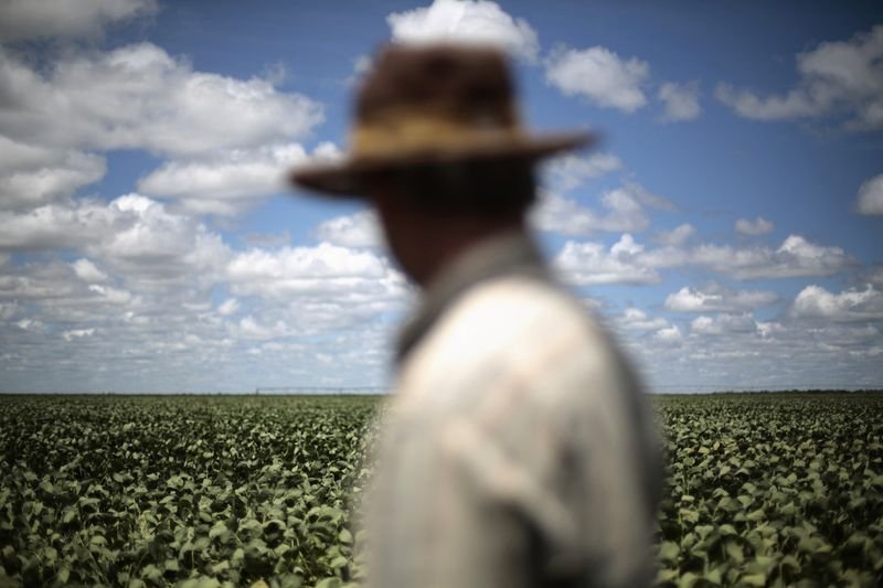 Governo avalia intermediar eventual prorrogação de dívidas de agricultores por seca Governo avalia intermediar eventual prorrogação de dívidas de agricultores por seca