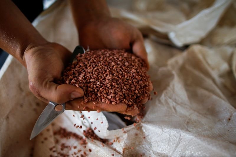Importação de fertilizantes pelo Brasil cresce 13% no 1º semestre, diz Cargonave Importação de fertilizantes pelo Brasil cresce 13% no 1º semestre, diz Cargonave