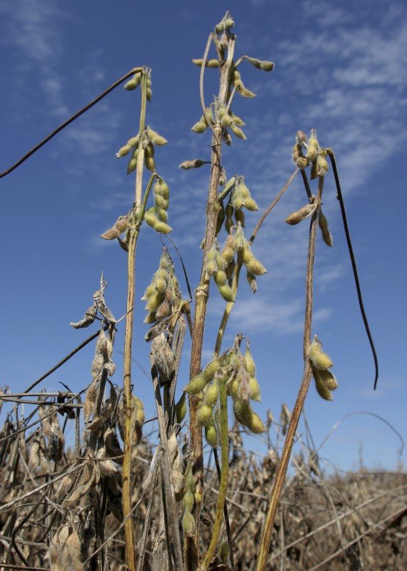 tagreuters.com2022binary_LYNXMPEI8B0YQ-BASEIMAGE