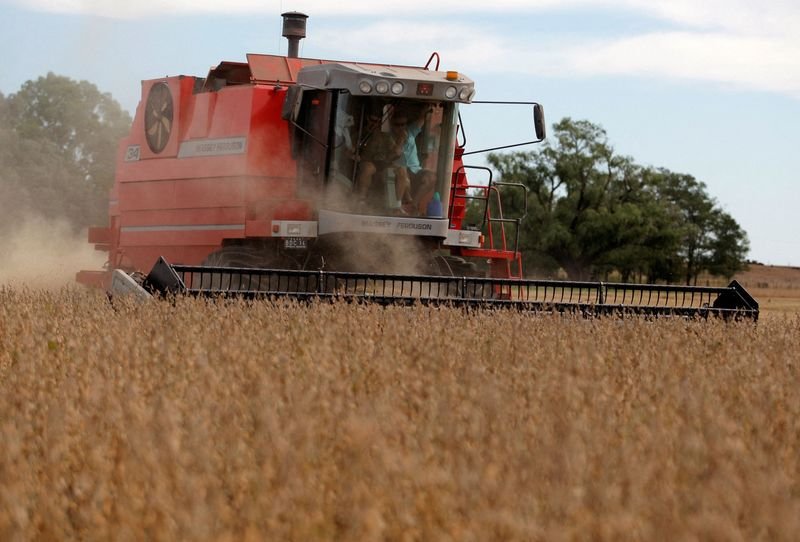 Argentina aumentará imposto de exportação de farinha e óleo de soja para 33% até o final do ano Argentina aumentará imposto de exportação de farinha e óleo de soja para 33% até o final do ano