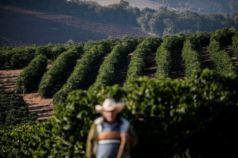 Cooxupé vê alta nos embarques de café em 2022 e espera obter mais de não cooperados
