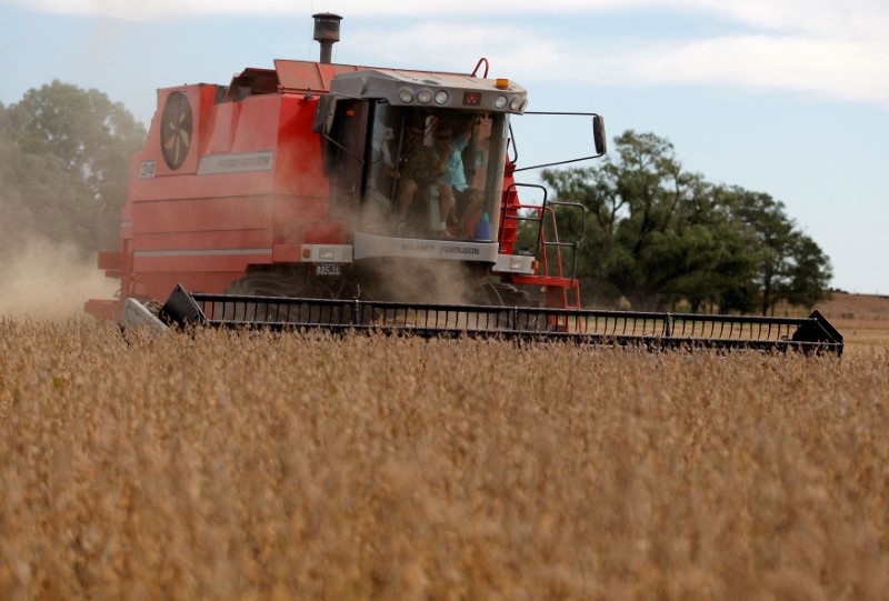 Transportistas de granos argentinos llaman a huelga por escasez de combustible