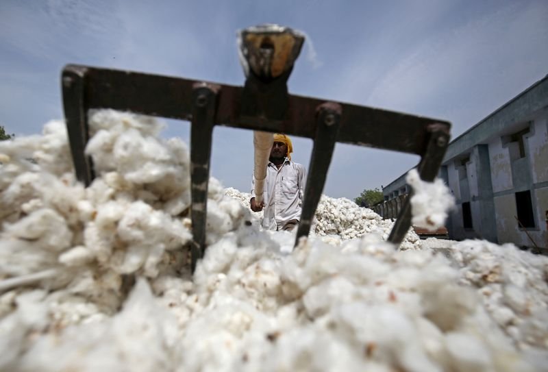 Algodão toca máxima desde 2011 na ICE com isenção de imposto de importação na Índia Algodão toca máxima desde 2011 na ICE com isenção de imposto de importação na Índia