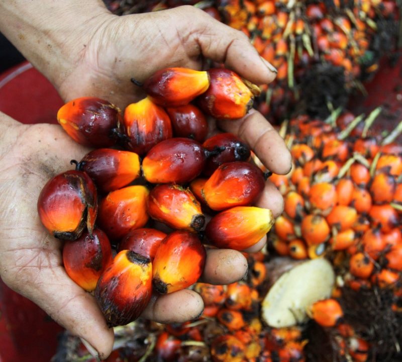 Indonésia suspenderá proibição de exportação de óleo de palma a partir de segunda-feira