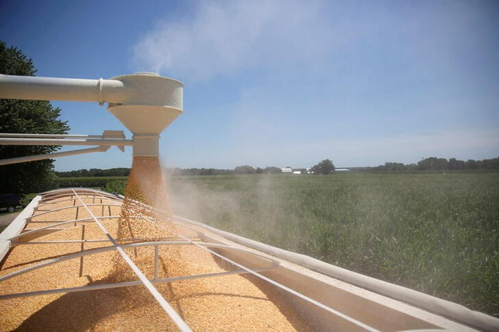 China compra más maíz a EE. UU. a medida que caen los precios