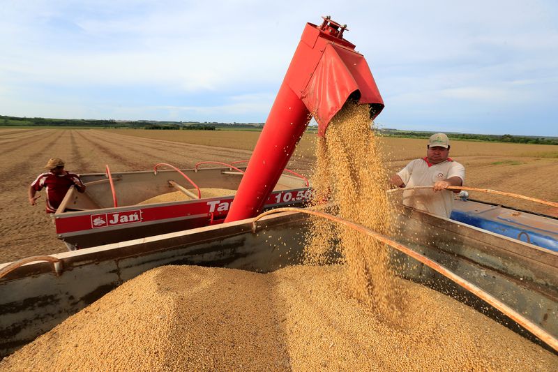 Conab aponta produtividade recorde na safra de soja no Brasil em 2022/23