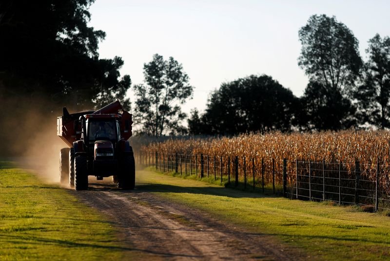 Acelen avalia aumentar capacidade de produção de diesel S-10 em até 20% em Mataripe Acelen avalia aumentar capacidade de produção de diesel S-10 em até 20% em Mataripe
