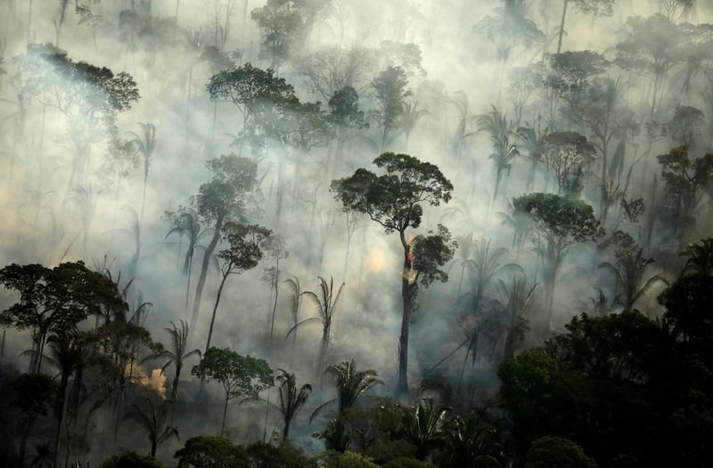 Pulmões em risco: fumaça de incêndios na floresta ameaça recuperação de Covid-19 de comunidades da Amazônia Pulmões em risco: fumaça de incêndios na floresta ameaça recuperação de Covid-19 de comunidades da Amazônia