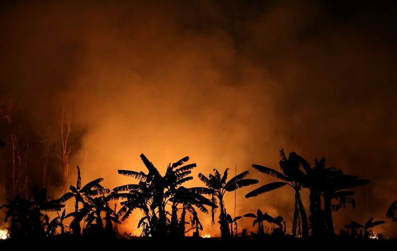 Empresários fazem apelo para que Brasil assuma liderança em questões climáticas Empresários fazem apelo para que Brasil assuma liderança em questões climáticas