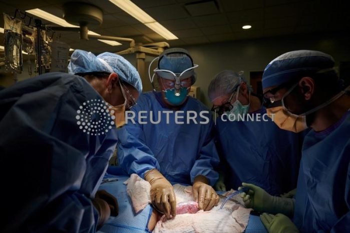 Crédito: NYU Langone Health/Divulgação via REUTERS Crédito: NYU Langone Health/Divulgação via REUTERS