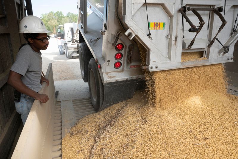 China reduzirá importação de soja dos EUA após atrasos; Brasil ganha espaço