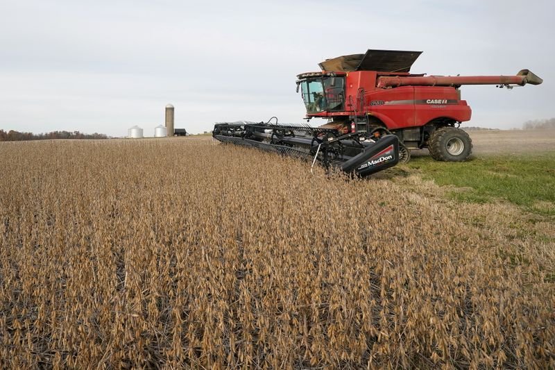 PIB do agro do Brasil deve crescer até 5% em 2022; alta de custos preocupa, diz CNA PIB do agro do Brasil deve crescer até 5% em 2022; alta de custos preocupa, diz CNA
