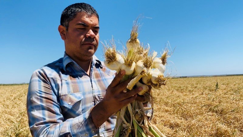“Não tem água”, diz gerente de fazenda da Califórnia forçado a desistir de plantio “Não tem água”, diz gerente de fazenda da Califórnia forçado a desistir de plantio